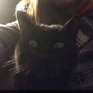 Meet your Posher, Bbrittany